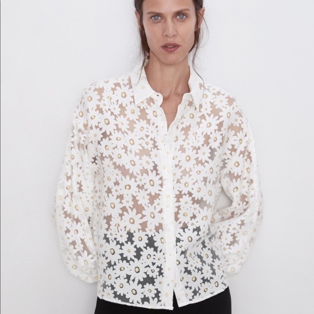 Zara Floral Organza Blouse